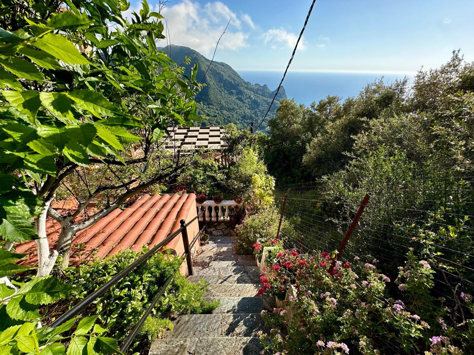 Horizon Apartments Agios Gordios  Luaran gambar